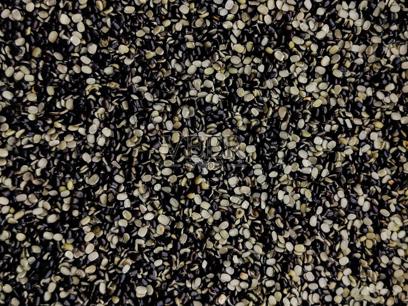 豇豆的纹理和图案，黑克乌拉木豆，芒豆或黑芒豆是一种生长在南亚的豆类，含有颗粒照片摄影图片