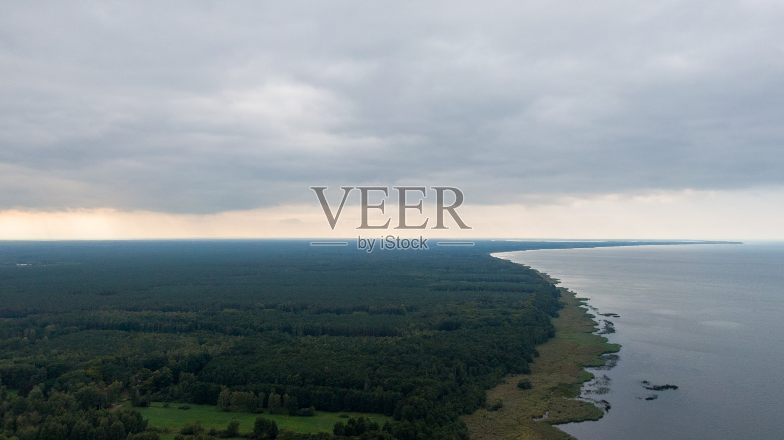 Trzebiez,波兰。扎洛什切辛斯基海岸和森林的鸟瞰图。无人驾驶飞机的照片照片摄影图片