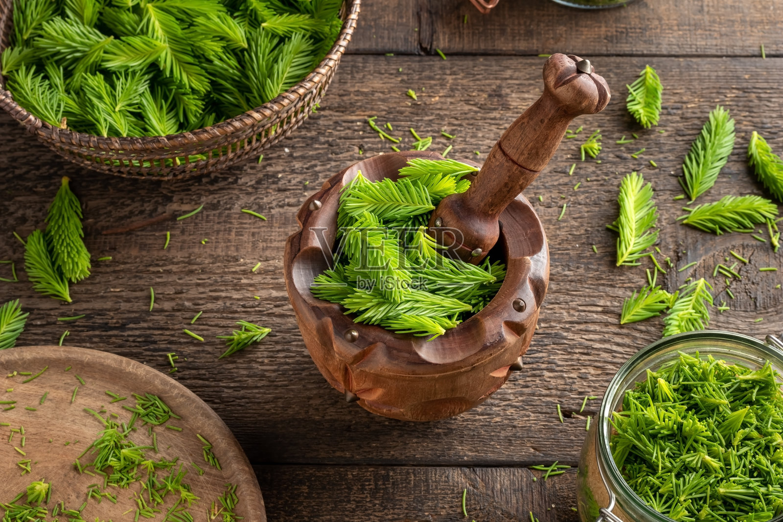 云杉嫩枝-治疗咳嗽糖浆的原料照片摄影图片