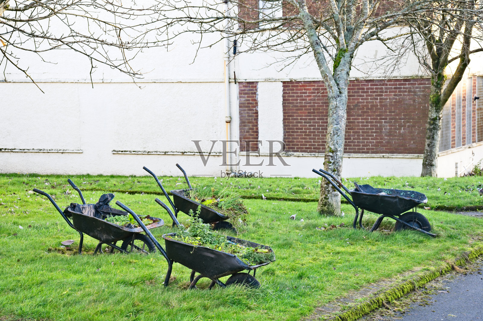 庭院花园的园艺设备和独轮手推车照片摄影图片