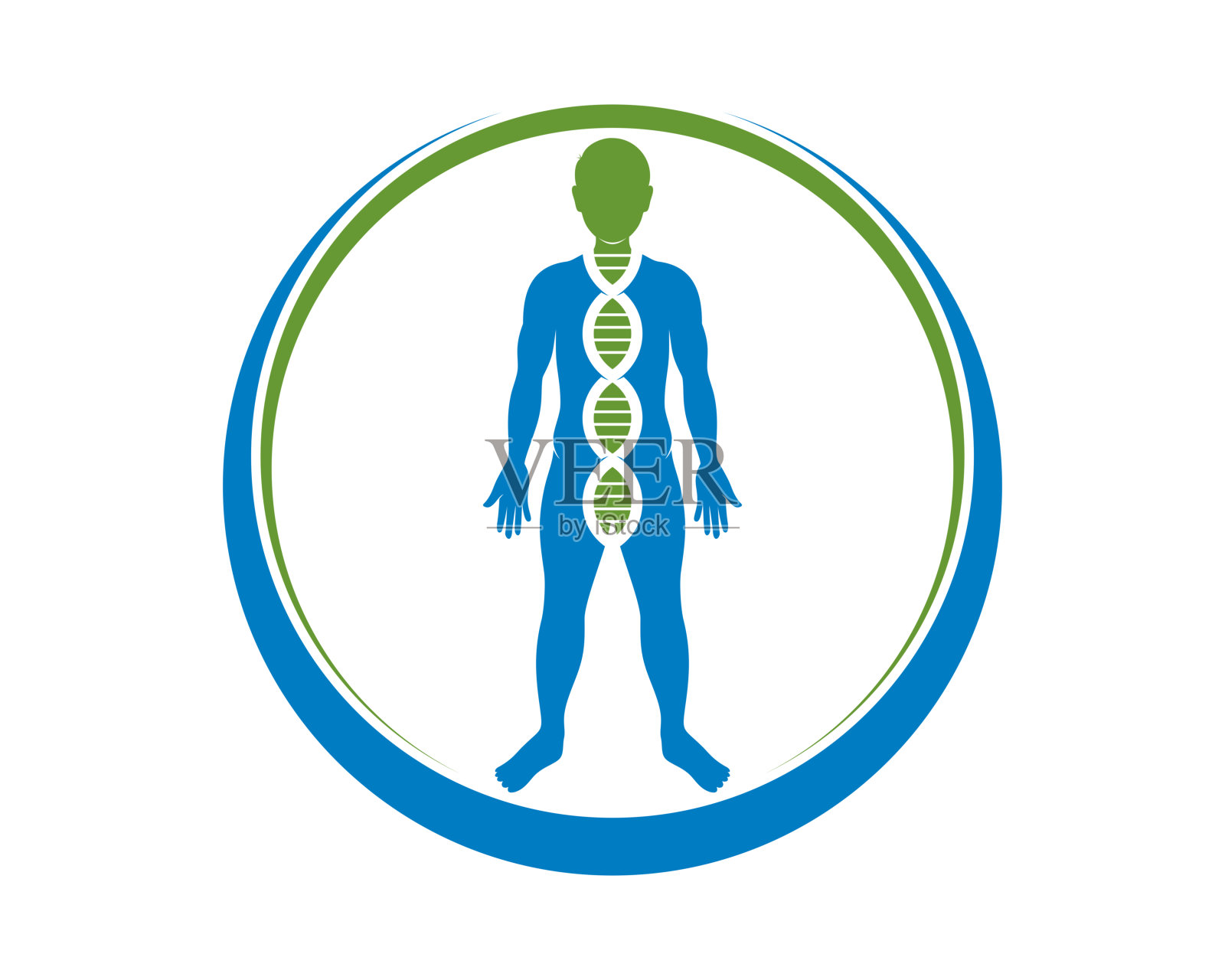 健康人体内有DNA螺旋插画图片素材