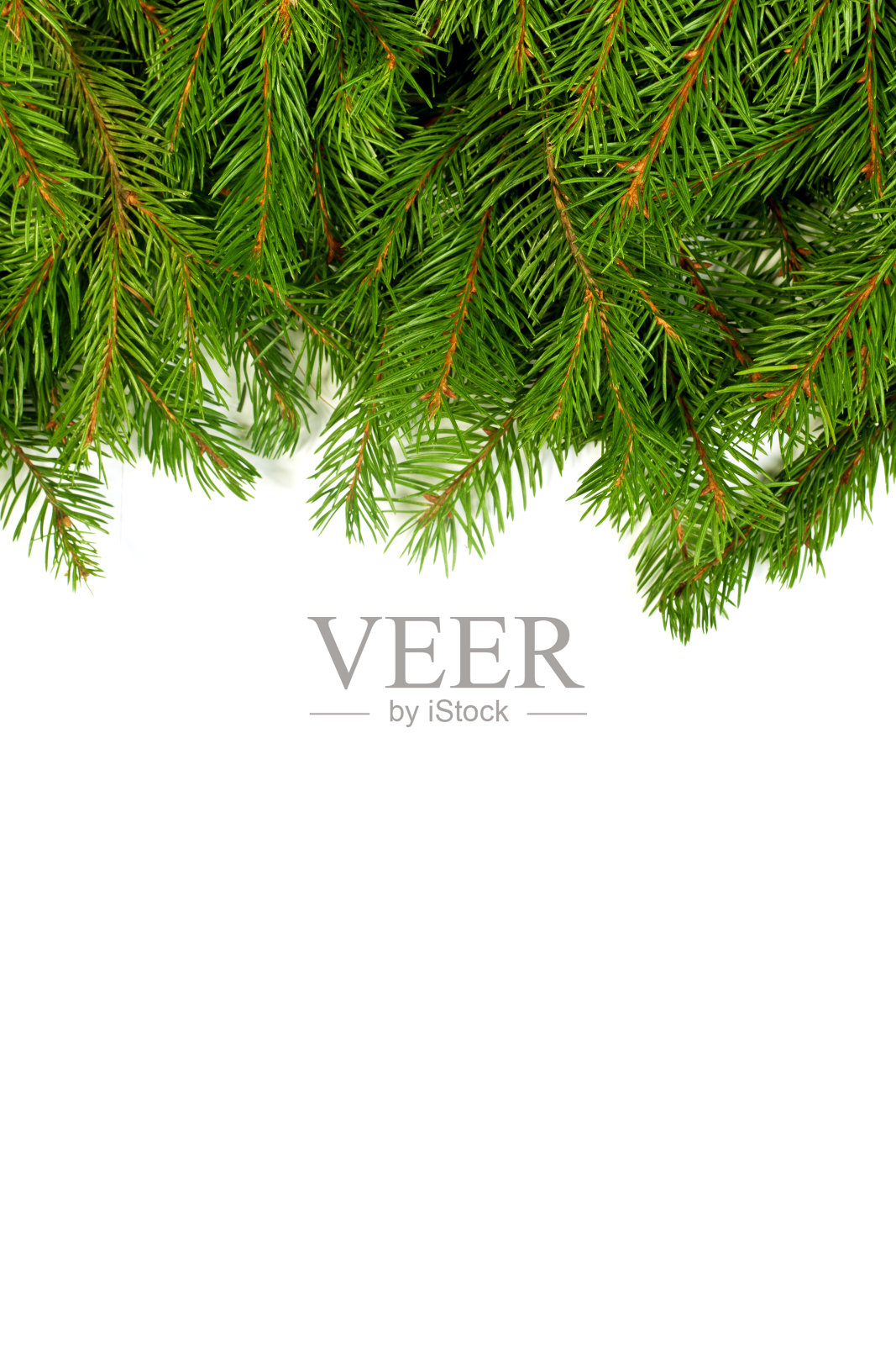 圣诞节的框架照片摄影图片