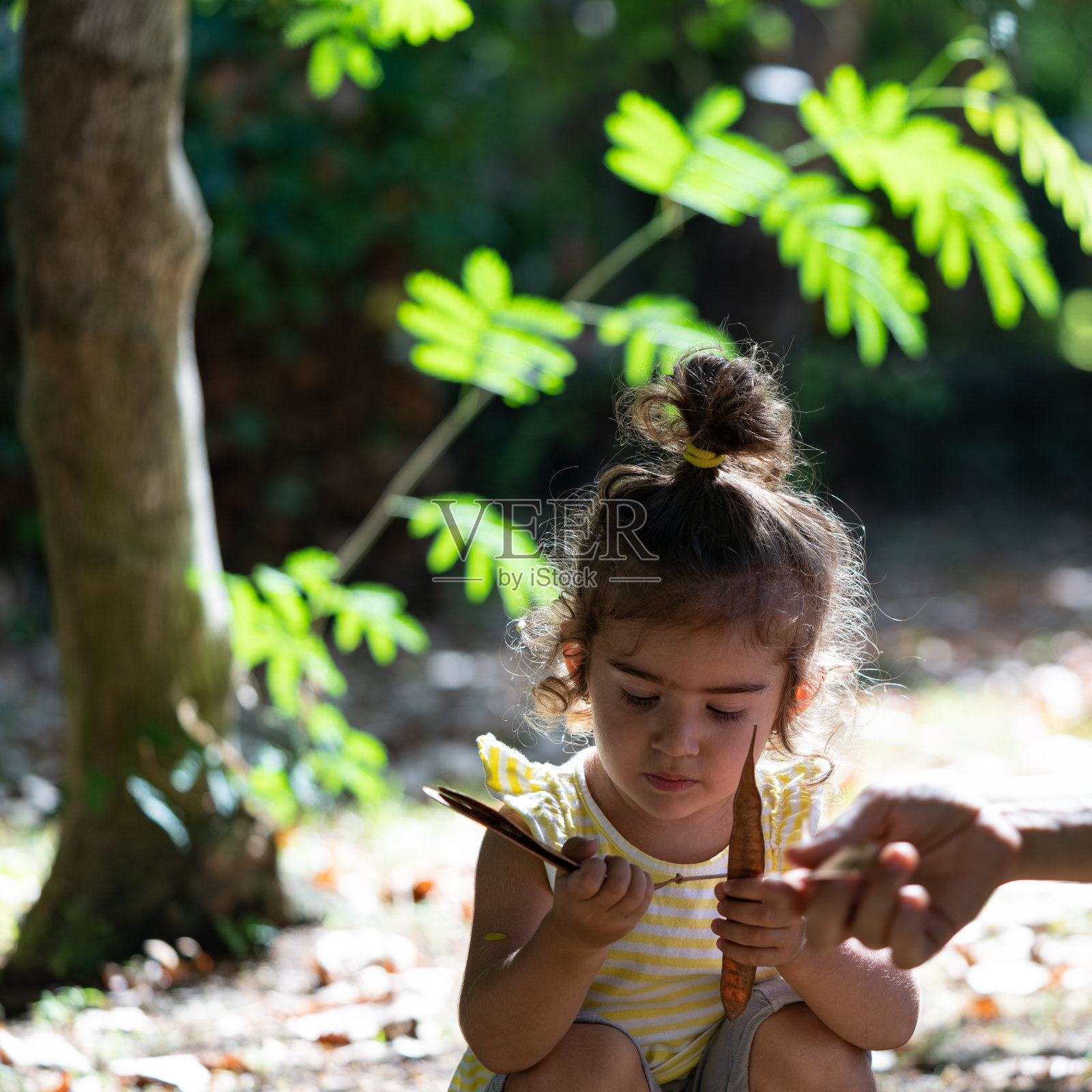 蹒跚学步的小女孩在大自然中玩树叶照片摄影图片