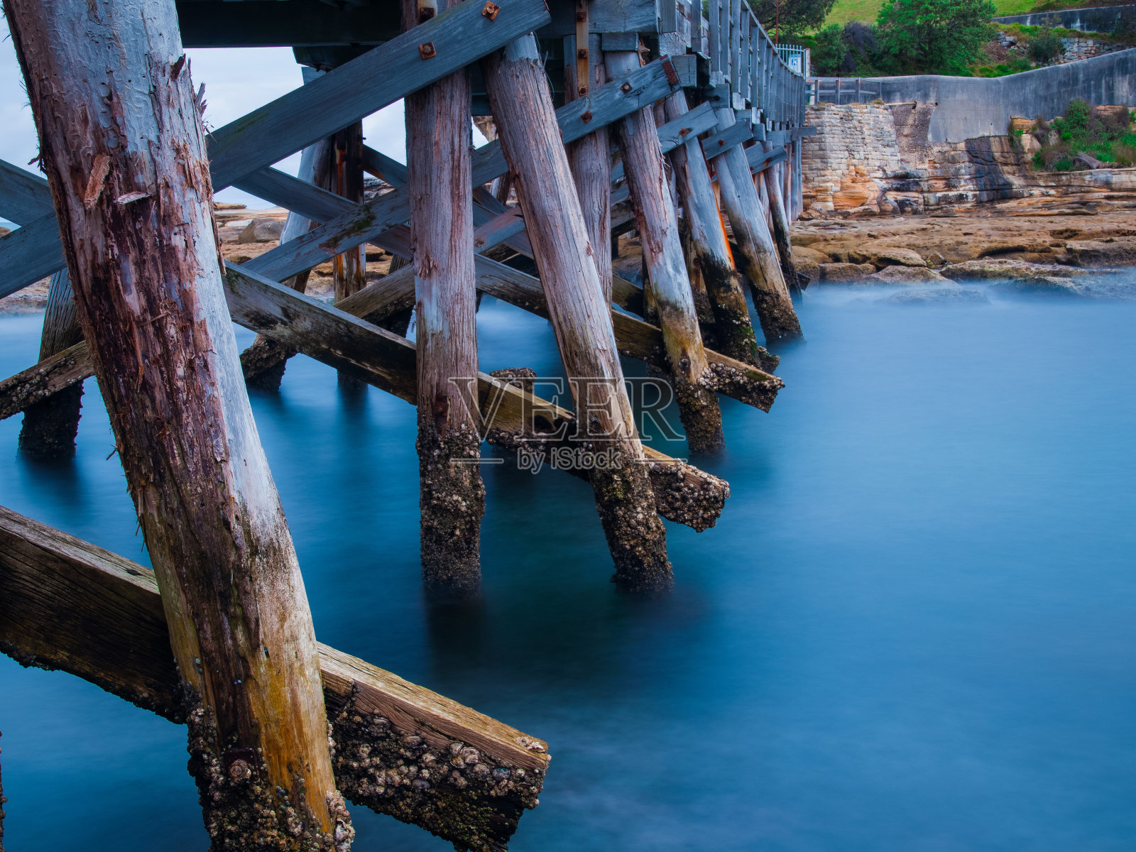 位于澳大利亚新南威尔士州悉尼植物园的一座木桥照片摄影图片