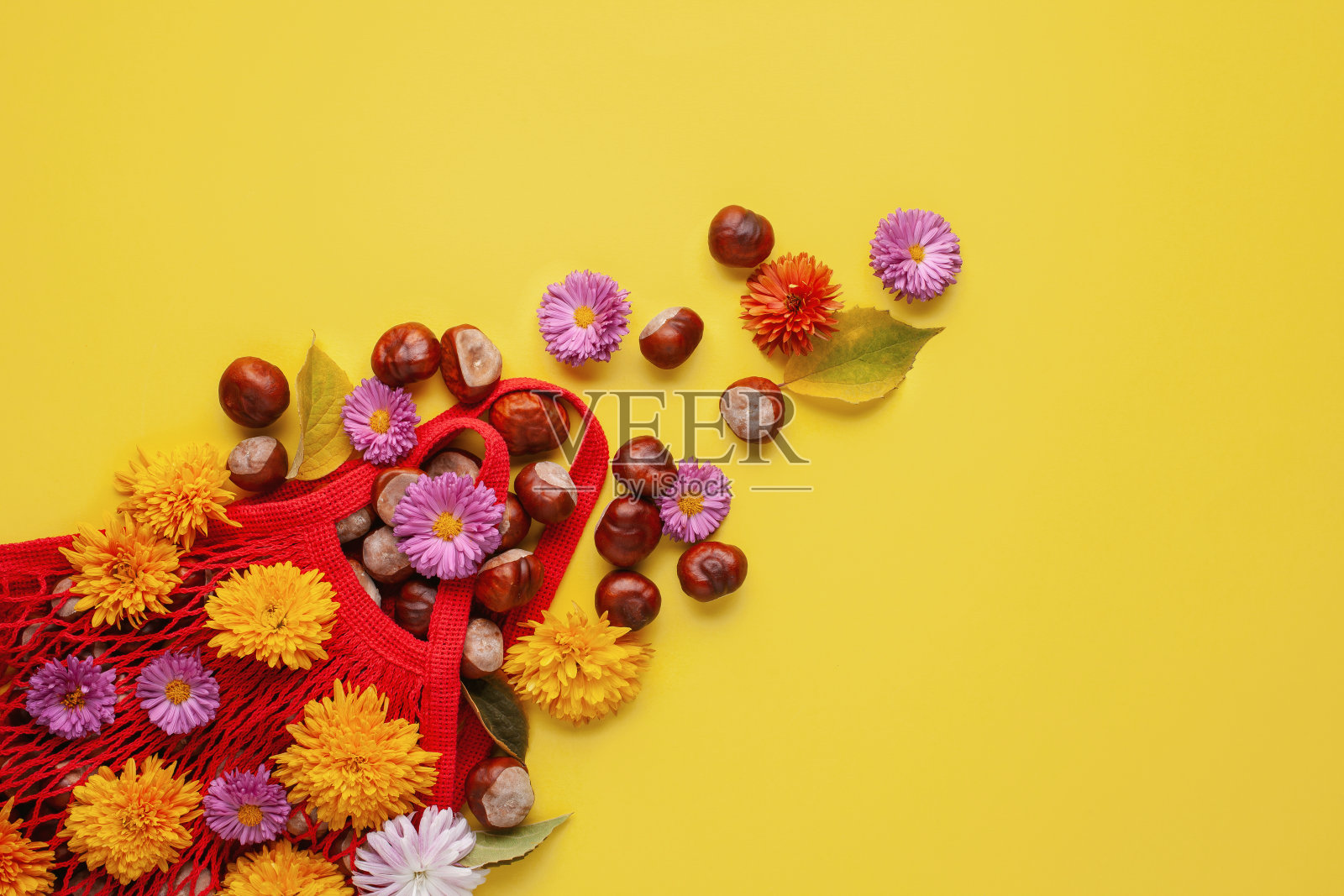 栗子和花在购物环保网袋，秋天的叶子颜色黄色的背景。秋天的成分。感恩节、秋天、万圣节的概念。有机蔬菜收获概念。照片摄影图片