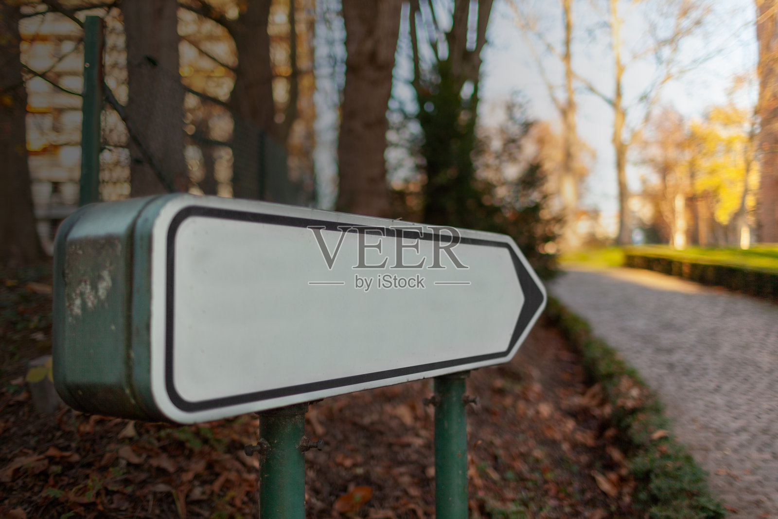 在自然界中，一般空的交通路标从黑暗的区域指向光明的未来区域，并有一条道路向前引导照片摄影图片