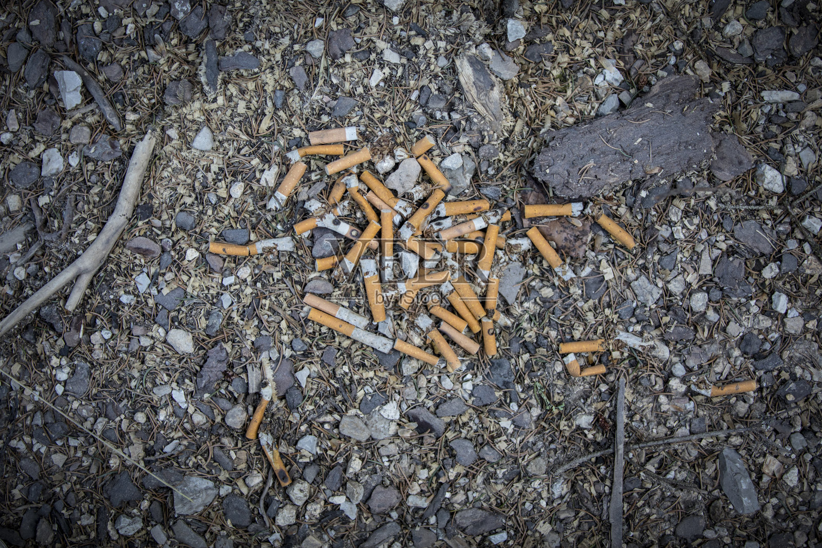 森林地面上的烟头照片摄影图片