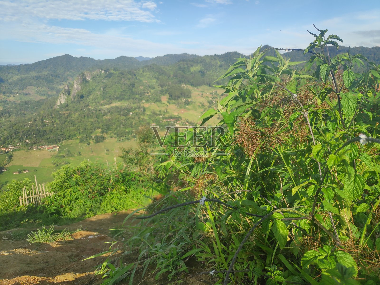 山景与绿叶照片摄影图片