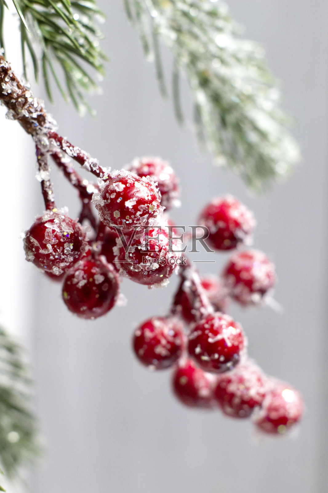 装饰圣诞枝与红色浆果，近距离微距照片，并选择焦点，模糊背景照片摄影图片