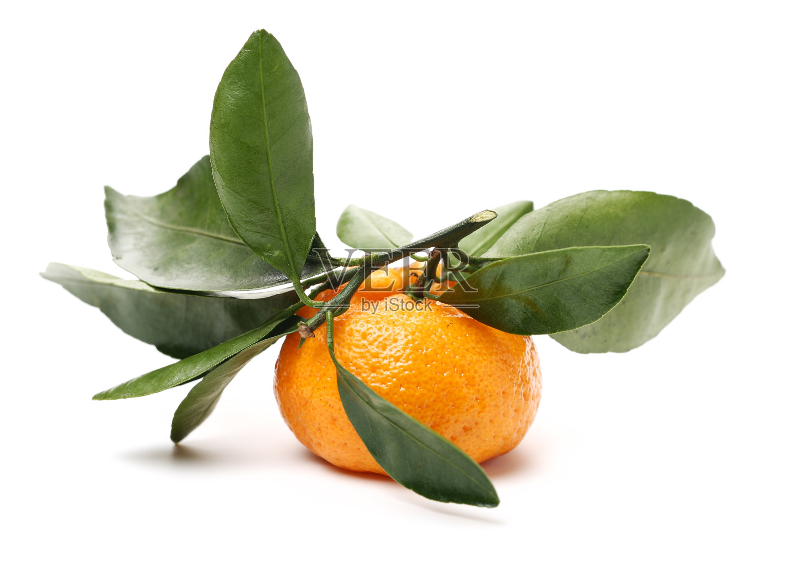 桔橙照片摄影图片