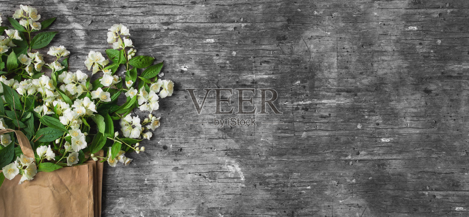 茉莉花花枝在木制背景与文字空间。横幅的格式。平铺，俯视图，拷贝空间。照片摄影图片