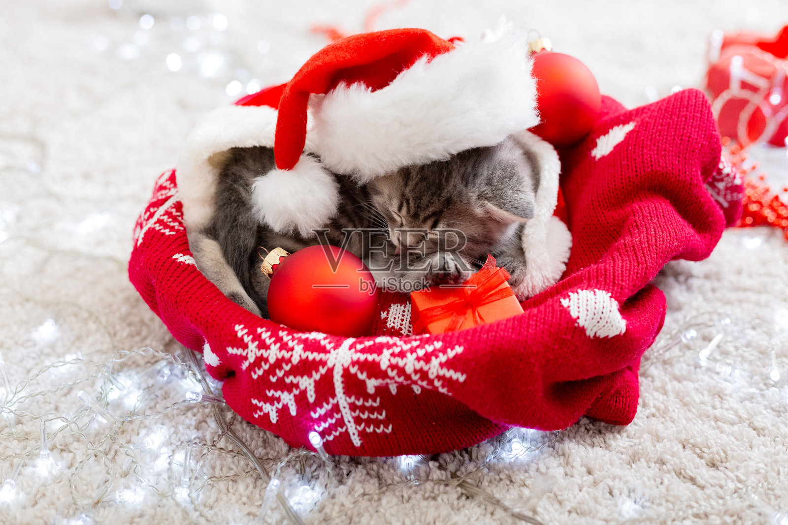 圣诞猫戴着圣诞老人的帽子，拿着礼物盒，睡在格子花呢圣诞树下。圣诞礼物的概念。舒适的家。动物宠物小猫。关闭拷贝空间。圣诞礼物。照片摄影图片