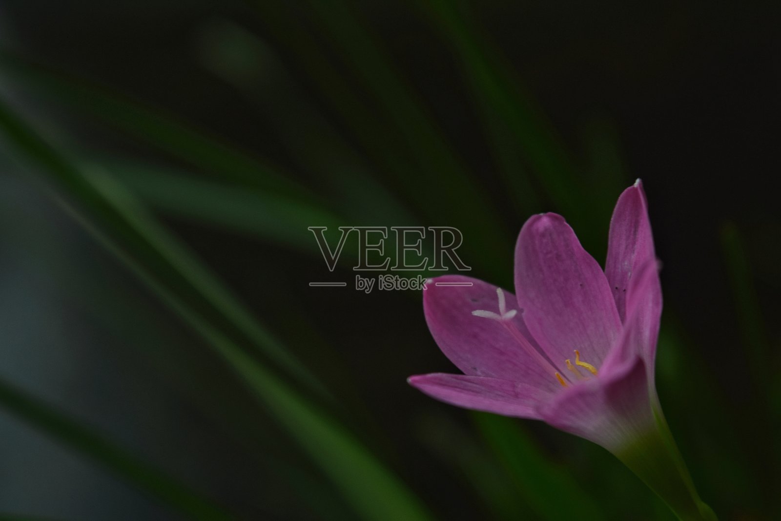 独自一人照片摄影图片