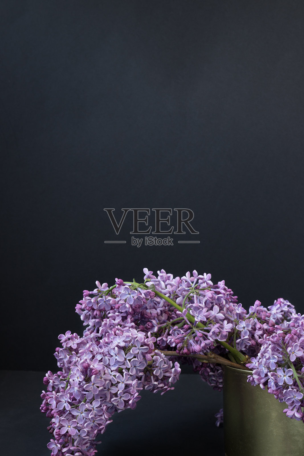 黑色背景上的丁香照片摄影图片