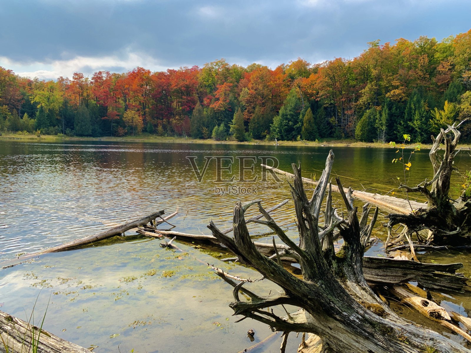加拿大省级公园秋叶的壮观色彩照片摄影图片