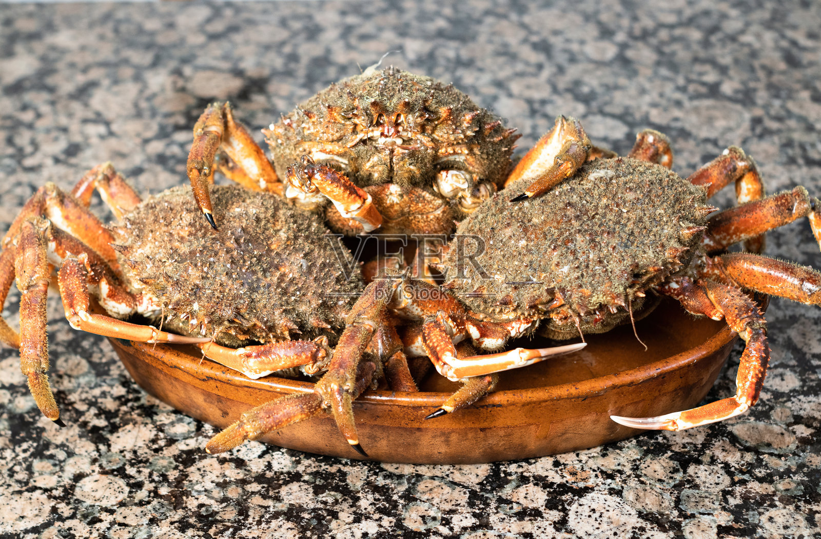 螃蟹靠近黏土板。前景中的海鲜照片摄影图片