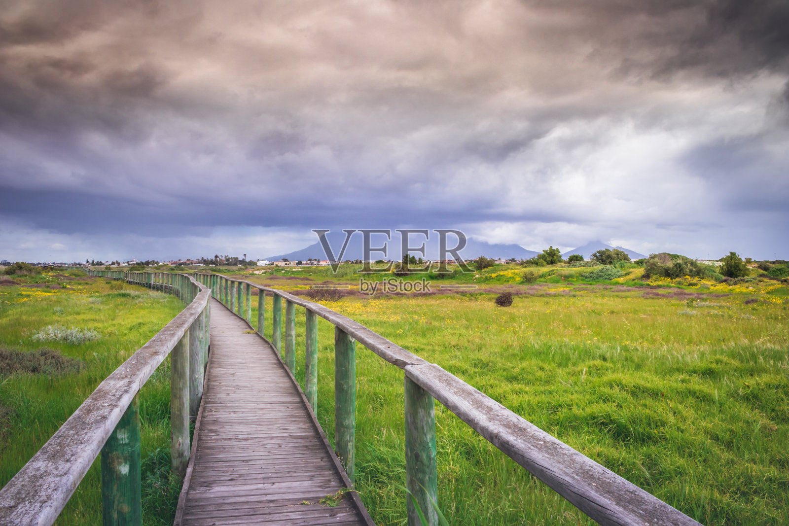在南非开普敦的湿地公园里，一条木板路可以看到桌山照片摄影图片