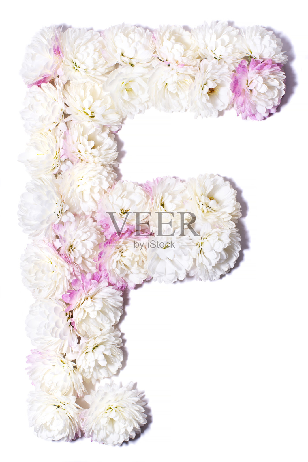 由花组成的英文字母照片摄影图片