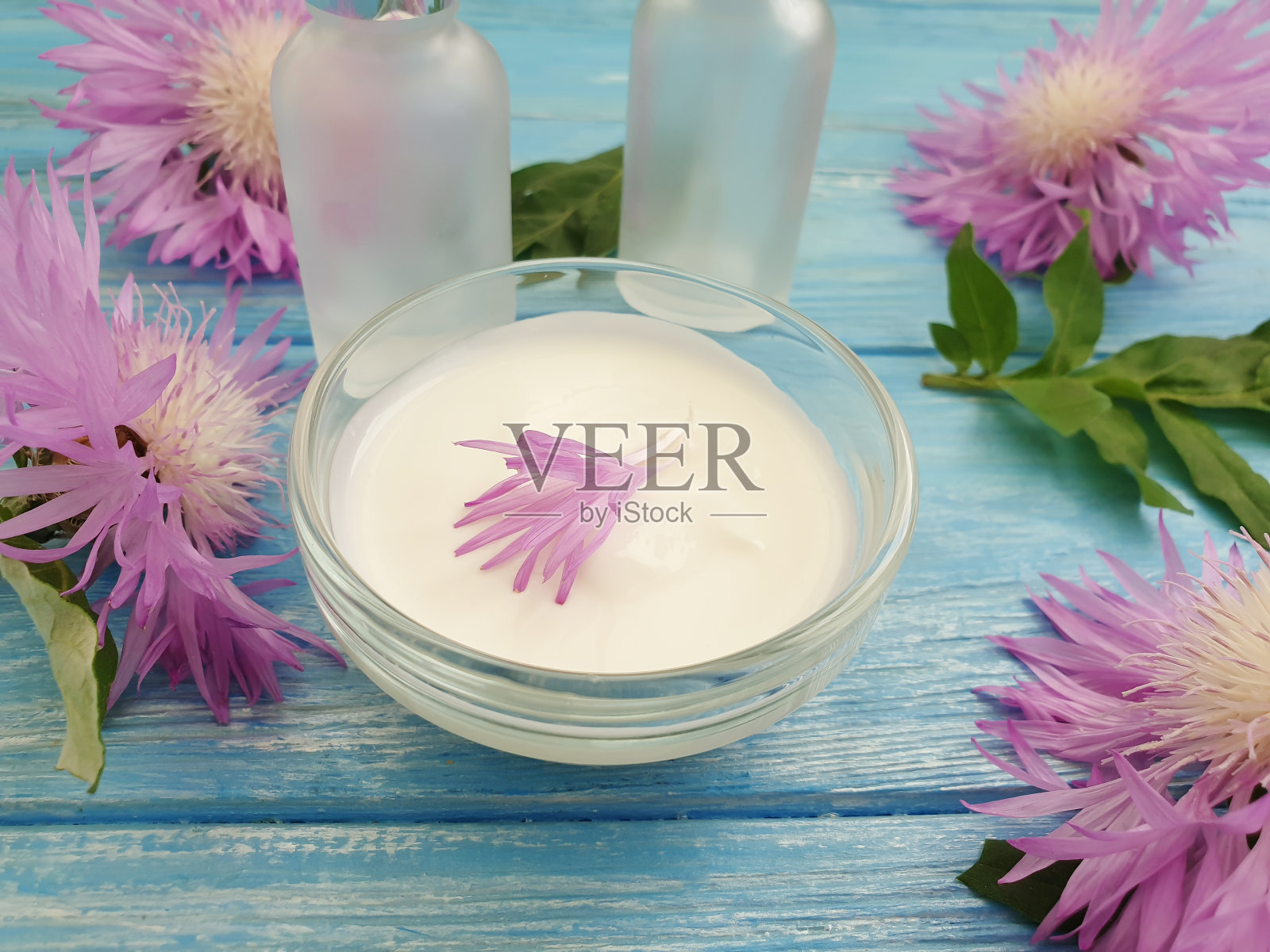 霜化妆花木背景收藏照片摄影图片