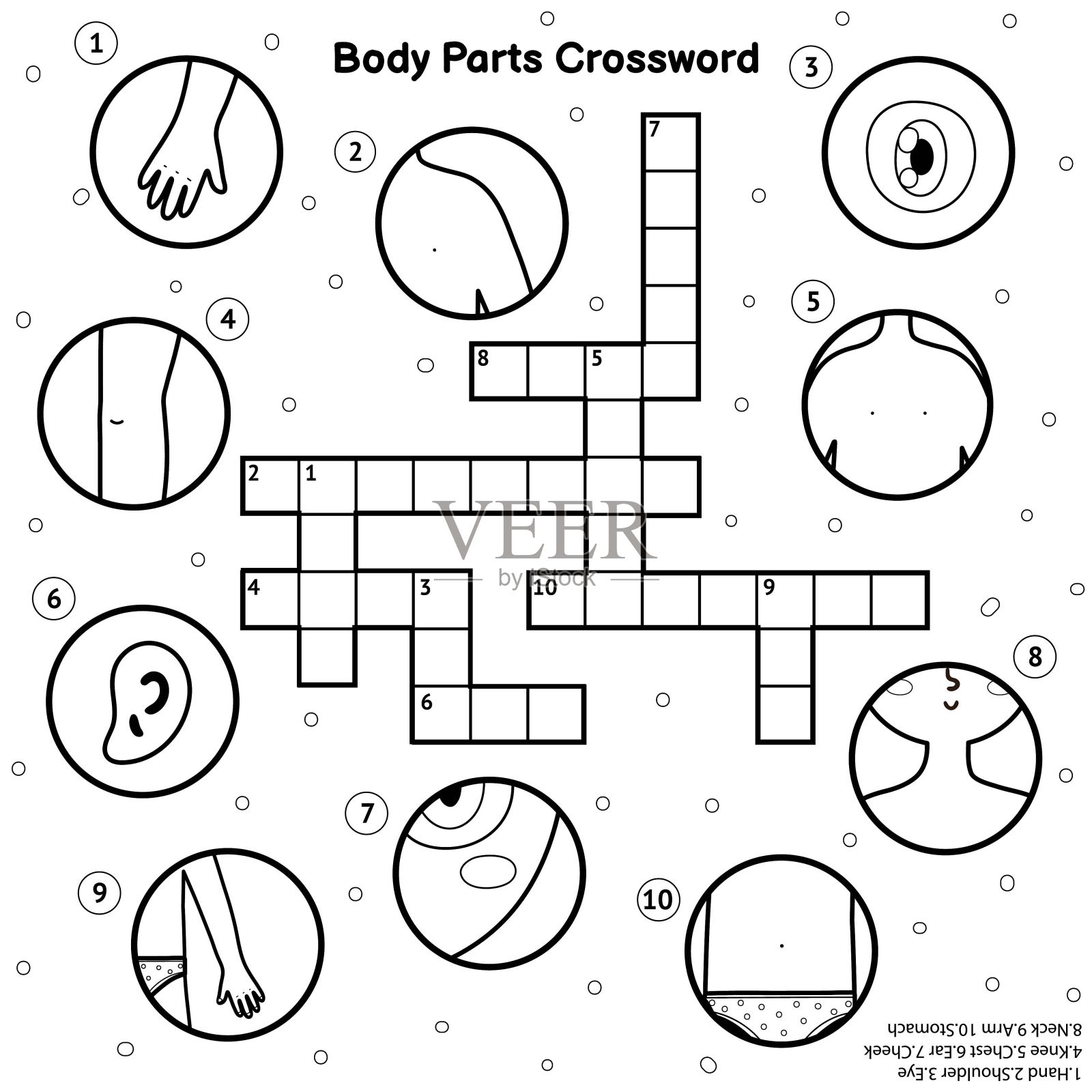 黑色和白色的身体部分纵横字谜与手，眼睛，肩膀，膝盖，胸部，耳朵，脸颊，脖子，手臂，胃。我的身体学习活动插画图片素材