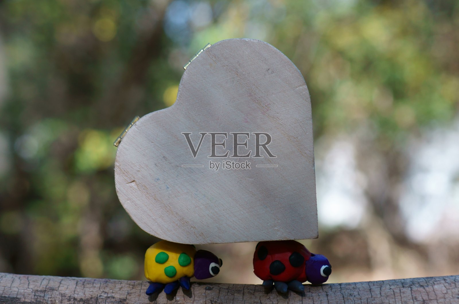 森林里的两只橡皮泥做成的瓢虫携带着一颗木制的心。照片摄影图片