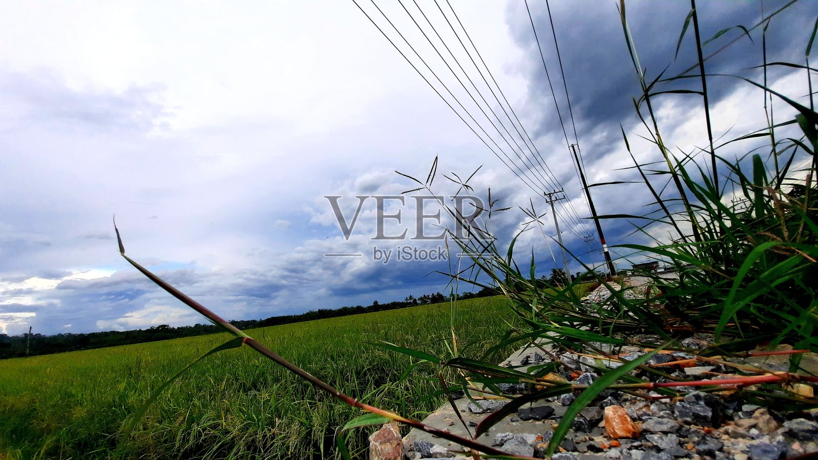 稻田和阴天照片摄影图片