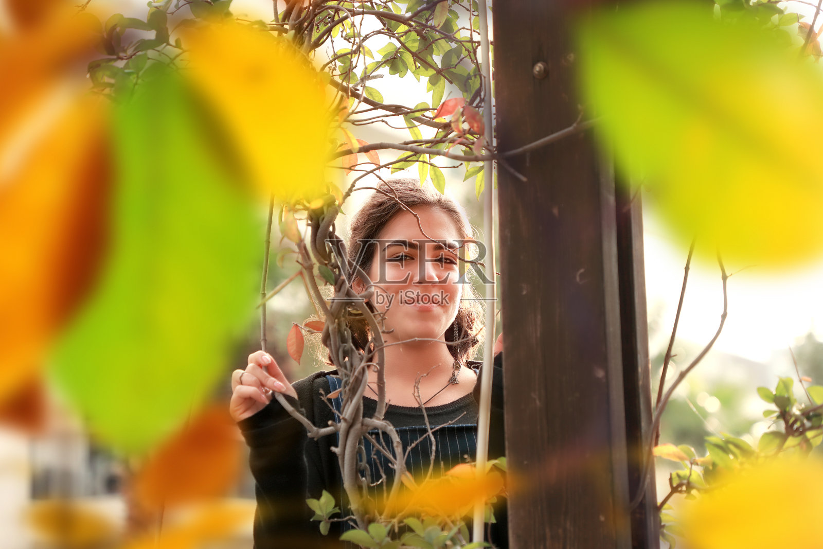 手持彩色秋叶的年轻美女肖像照片摄影图片