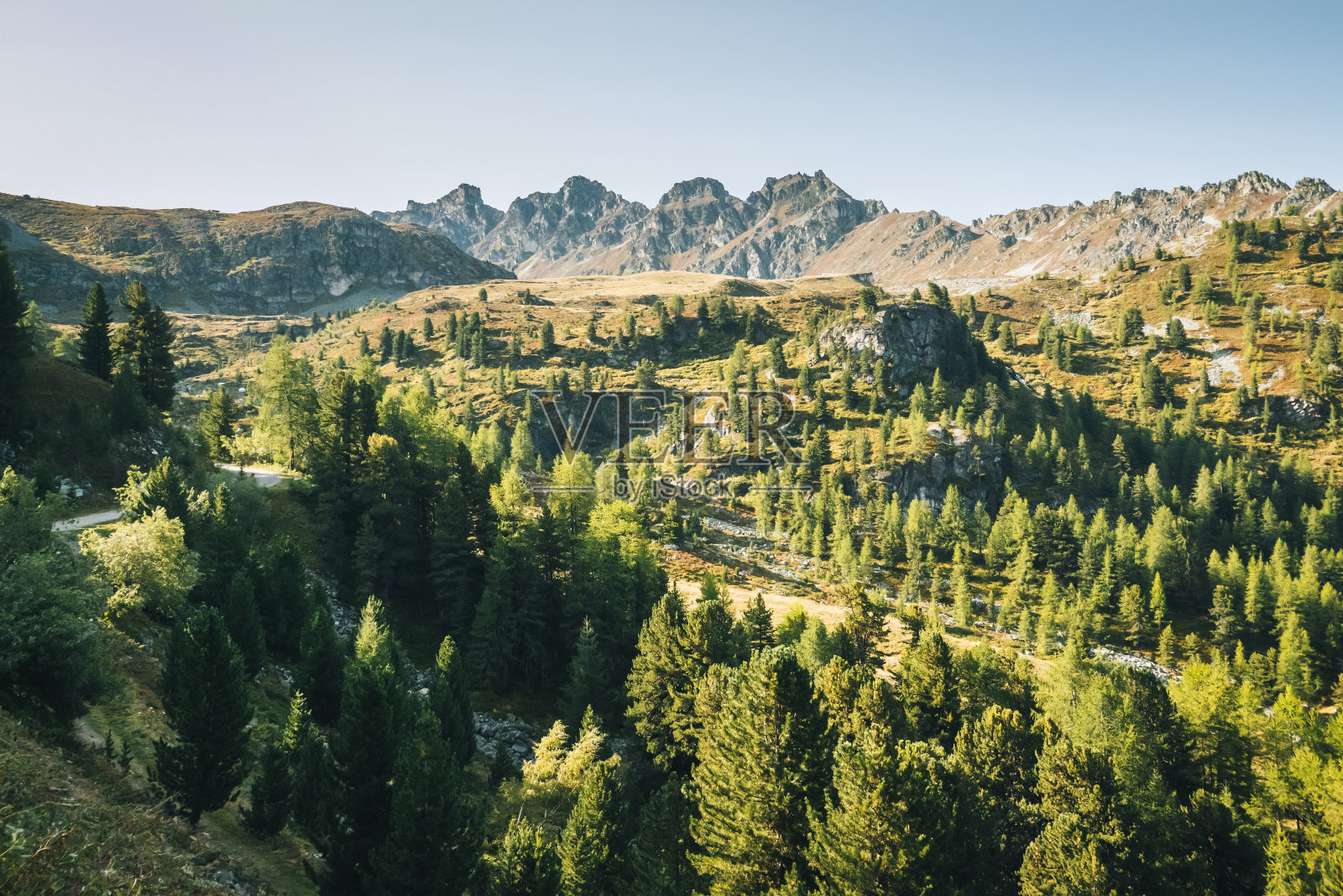 清晨的森林全景，辛纳尔照片摄影图片