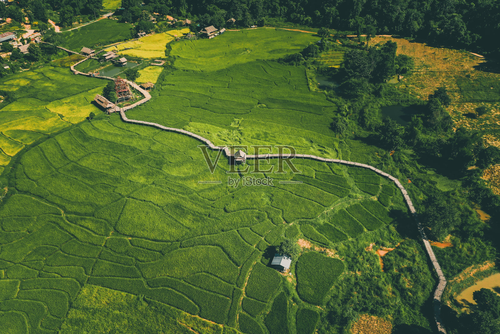 泰国清迈，派竹桥，Mae Hong Son照片摄影图片
