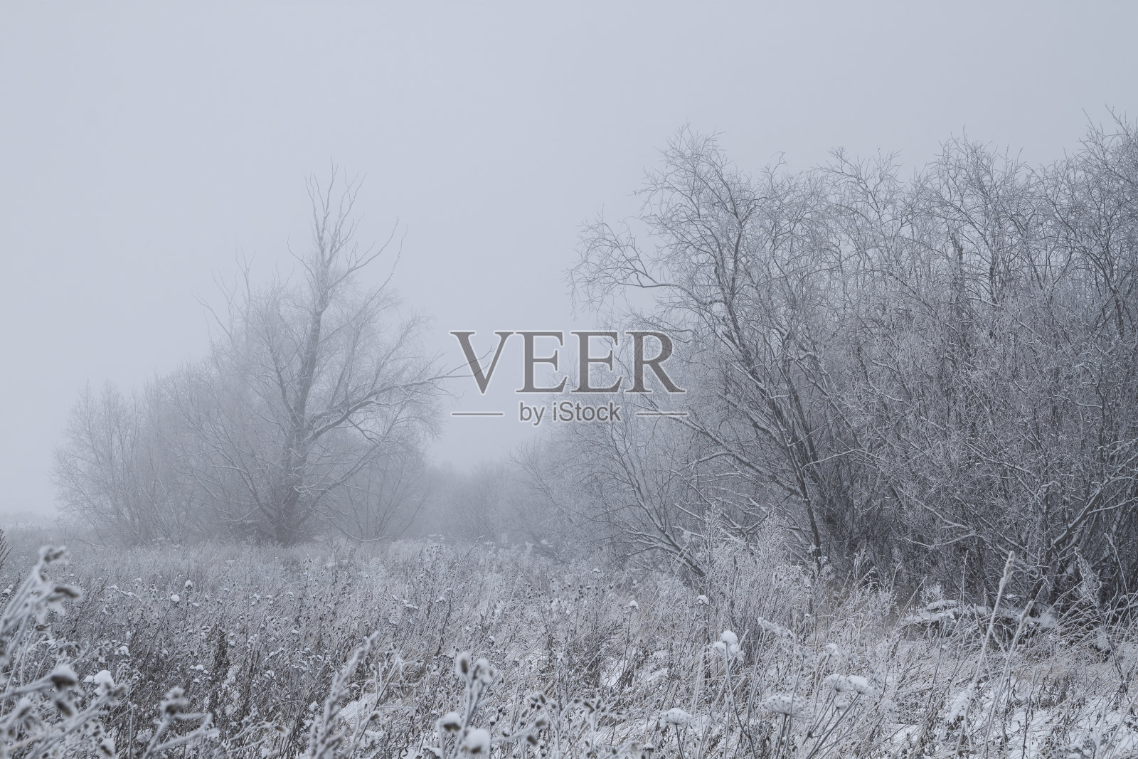 寒冷的冬天的早晨照片摄影图片