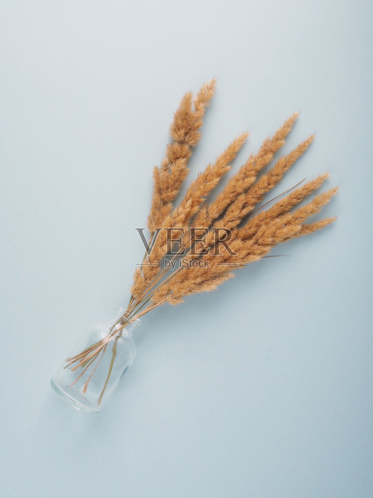 干芦苇在现代花瓶上与复印空间木桌。耳朵上的一束干花照片摄影图片