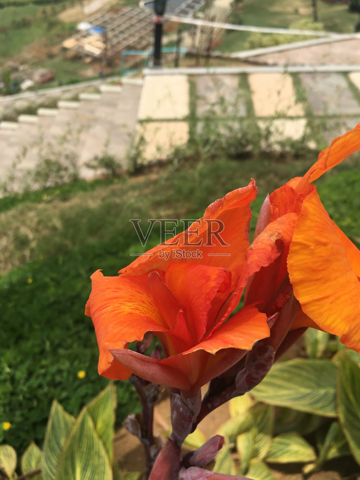 舒适的一天照片摄影图片