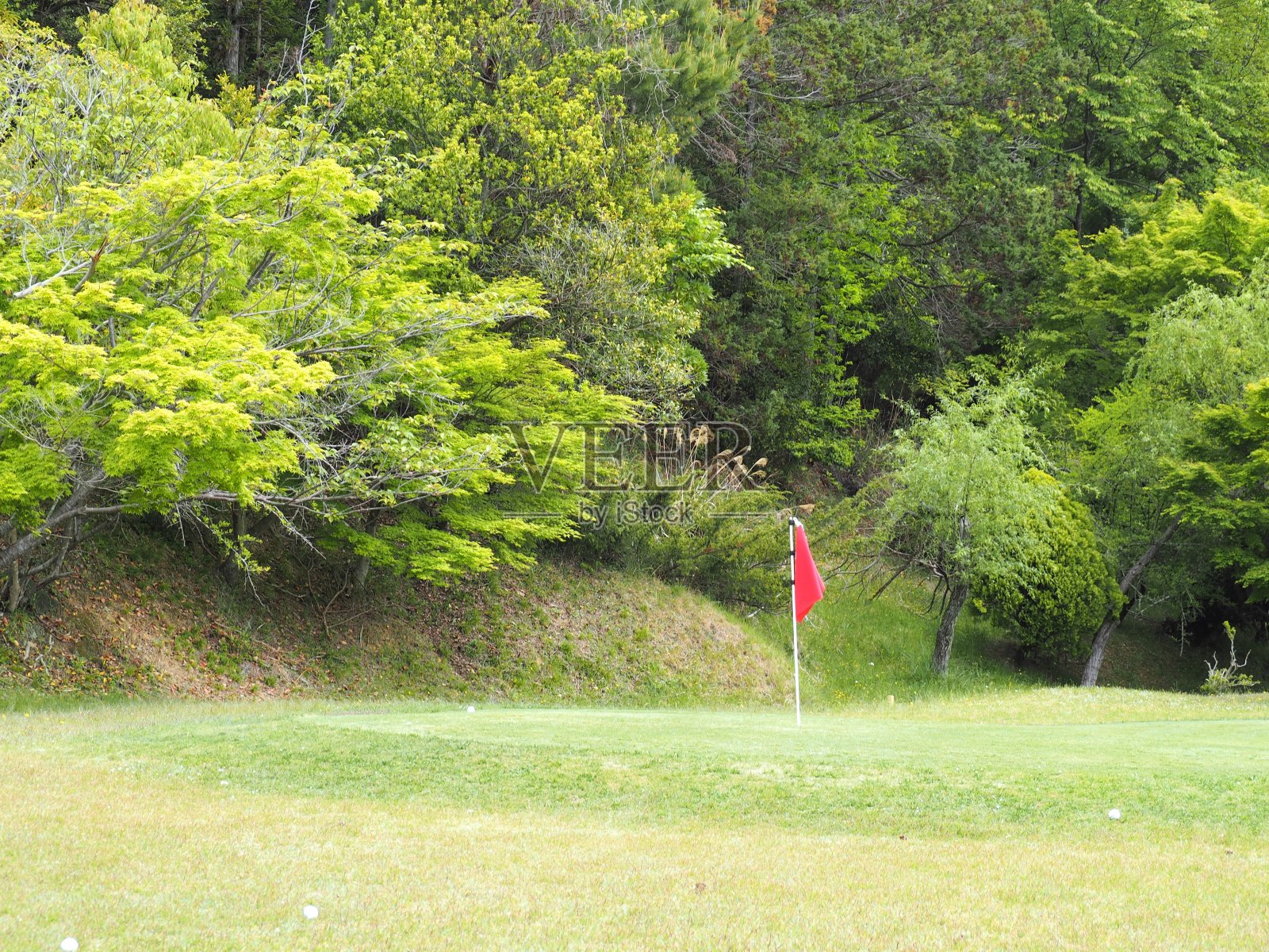 果岭上有旗杆的高尔夫球场照片摄影图片