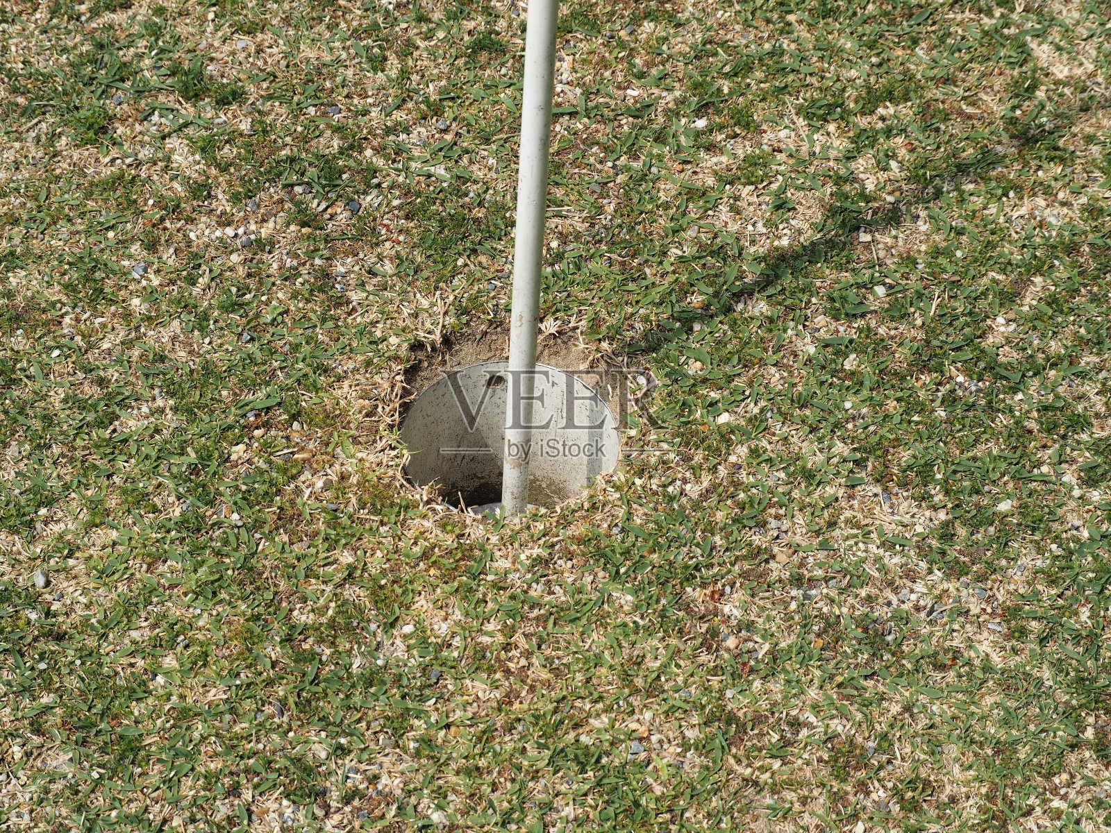 高尔夫球场果岭上的洞照片摄影图片