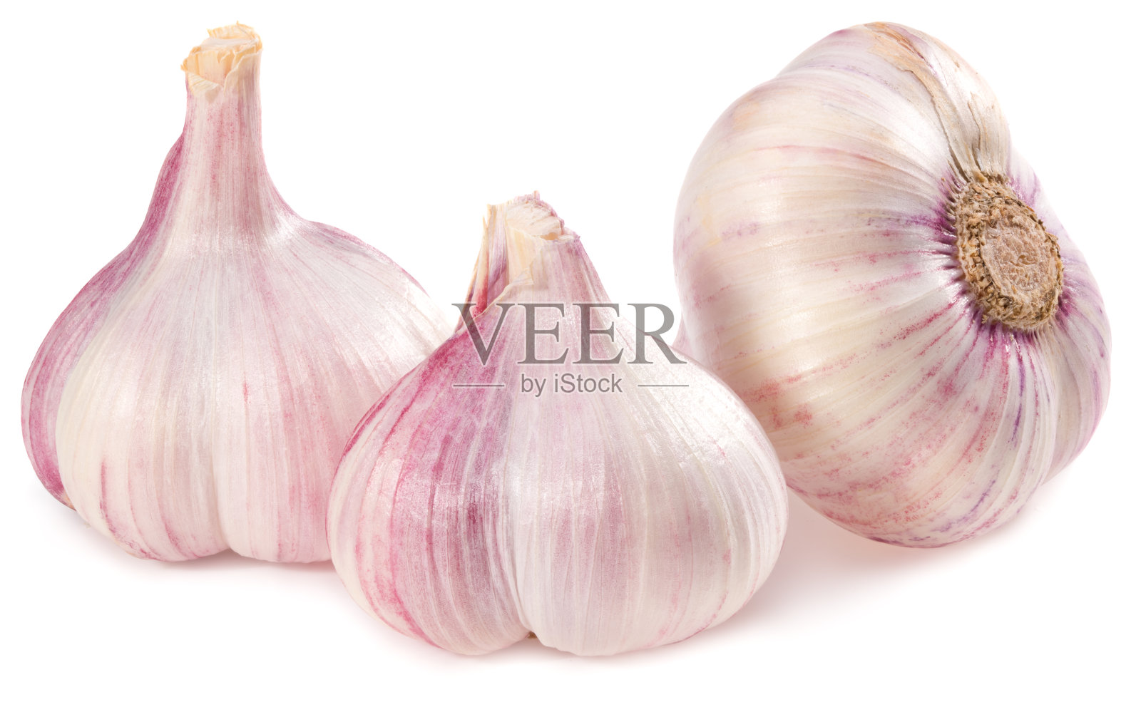 大蒜孤立在白色背景上。全景深照片摄影图片