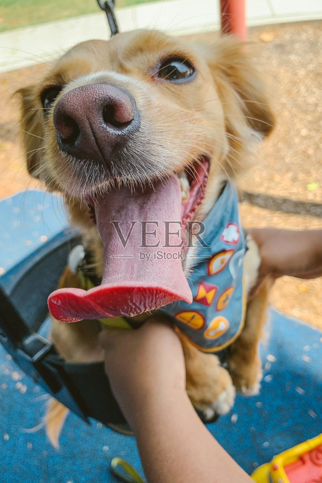 有趣的在操场上照片摄影图片