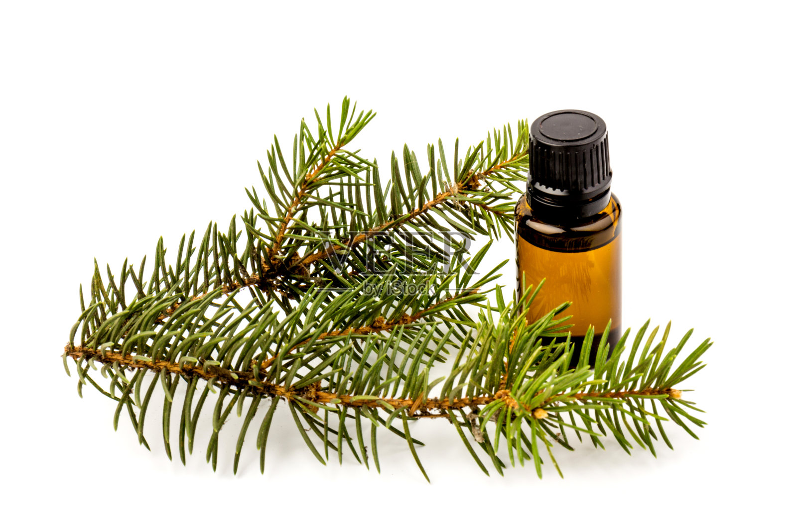 云杉精油在瓶中，与新鲜的云杉树枝在白色的背景照片摄影图片