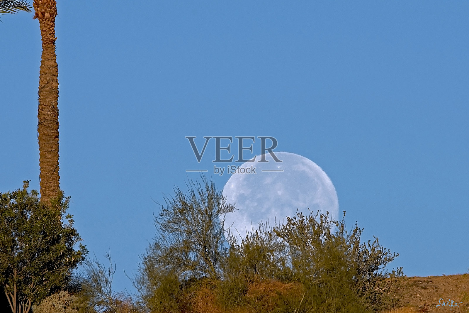 今天早晨的月亮落在山后的白昼里。照片摄影图片