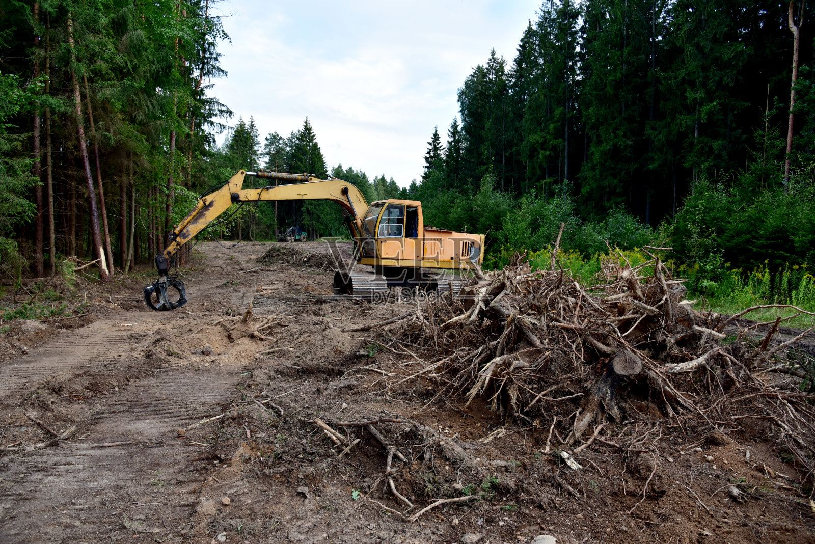 挖掘机抓斗清理森林期间的新发展。照片摄影图片