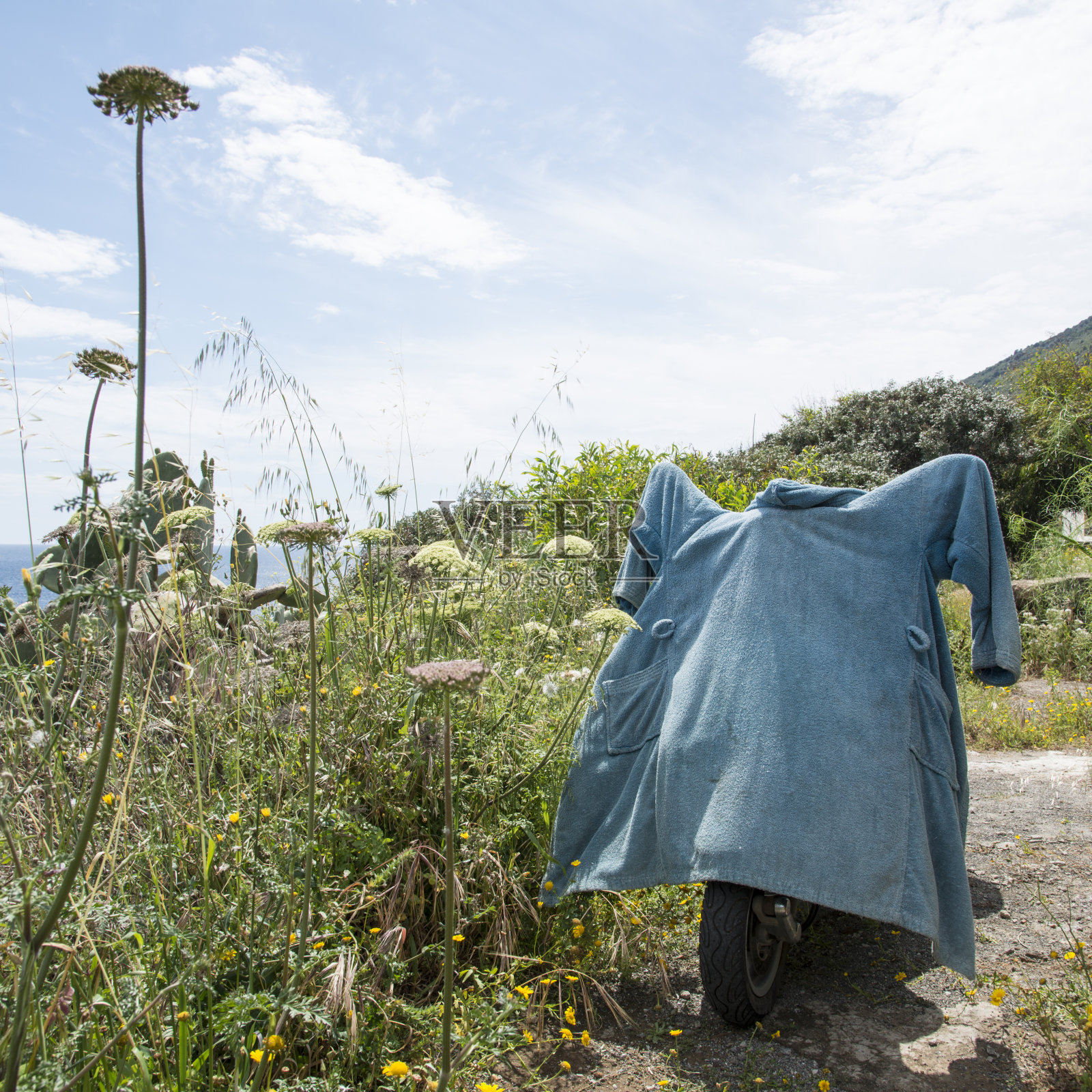 潘泰莱里亚的风景，鲜花和摩托车照片摄影图片