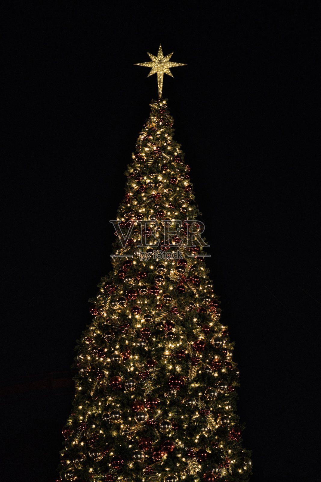 诺特浆果农场的树照片摄影图片