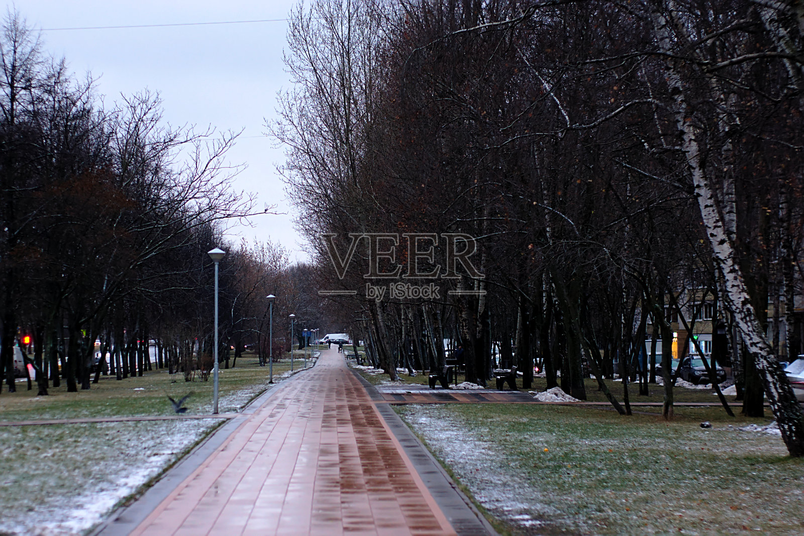 步行区积满了第一场雪照片摄影图片