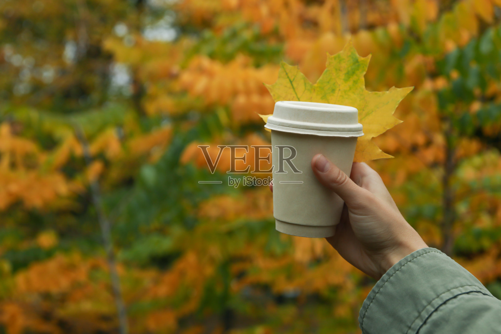 女性手握纸杯上的秋园背景照片摄影图片