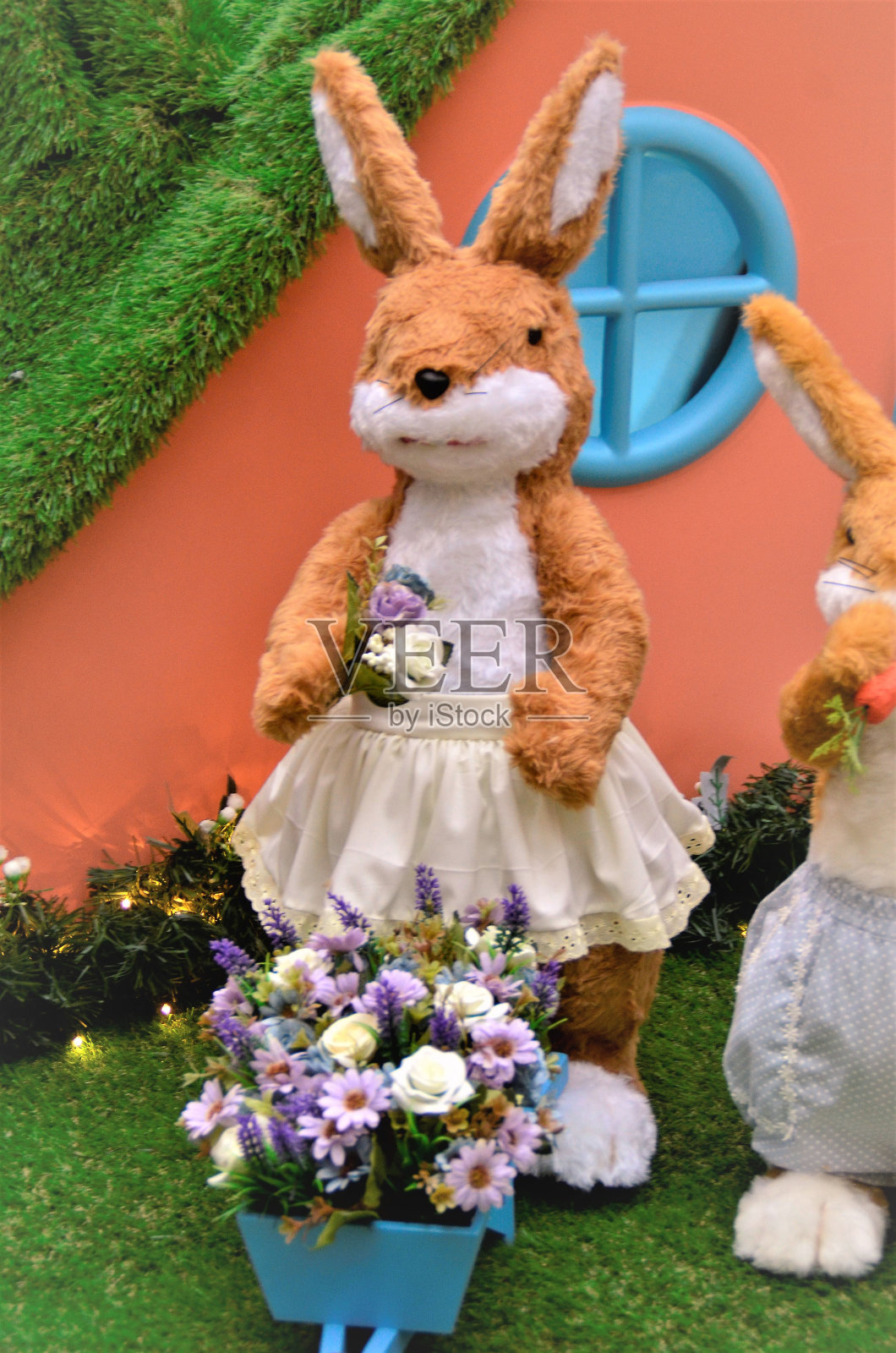 穿着裙子的兔子和爪子上的花是圣诞节的装饰照片摄影图片