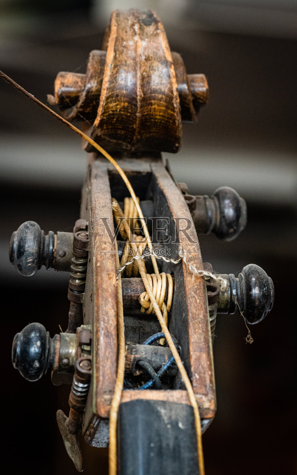 小提琴照片摄影图片