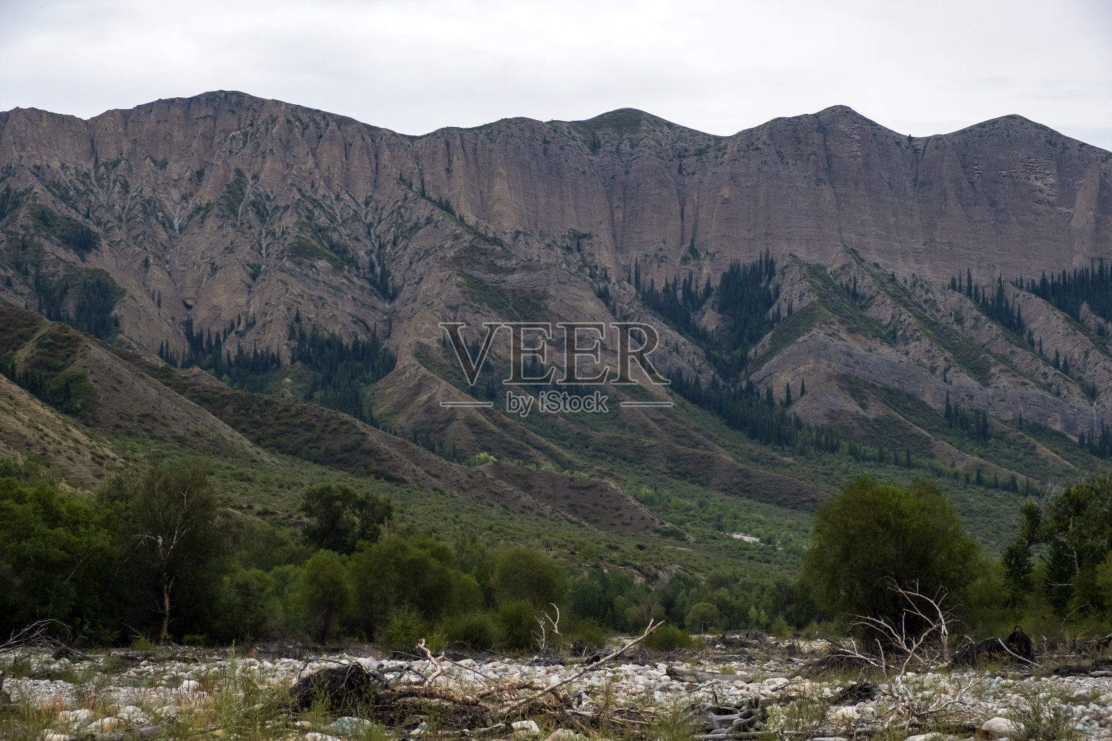有侵蚀土壤的山崖。野户外景观。探险旅游。冒险旅行。哈萨克斯坦乌塞克河谷。哈萨克斯坦的野生旅游。照片摄影图片