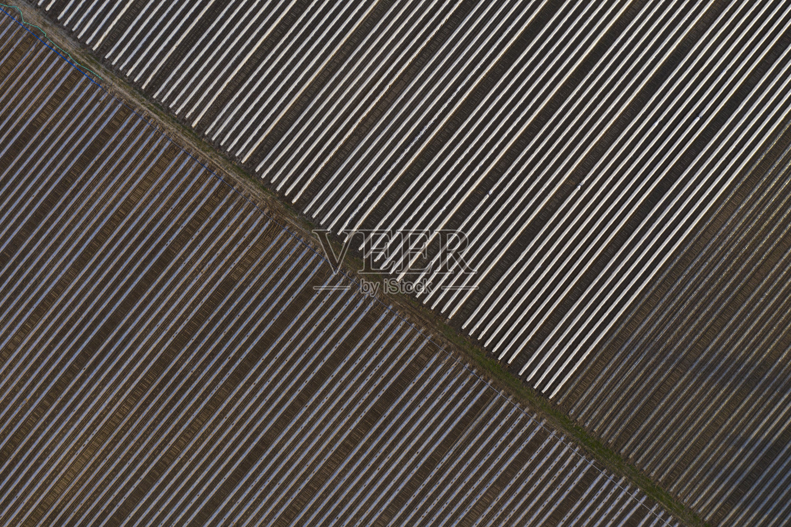 球场上的条纹。照片摄影图片