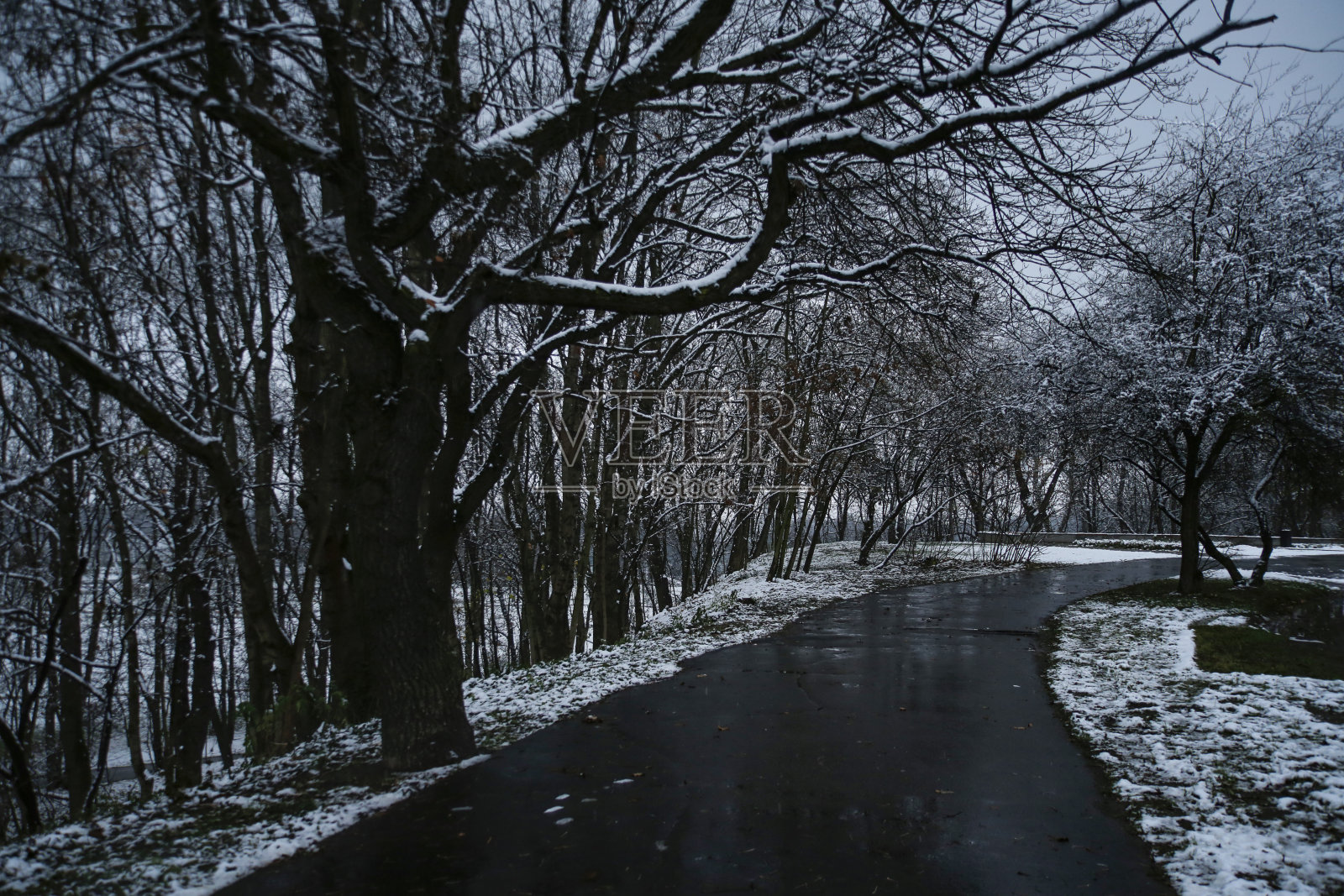冬天公园里空荡荡的小巷照片摄影图片