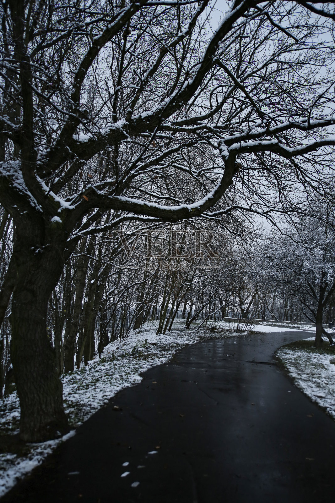 冬天公园里空荡荡的小巷照片摄影图片