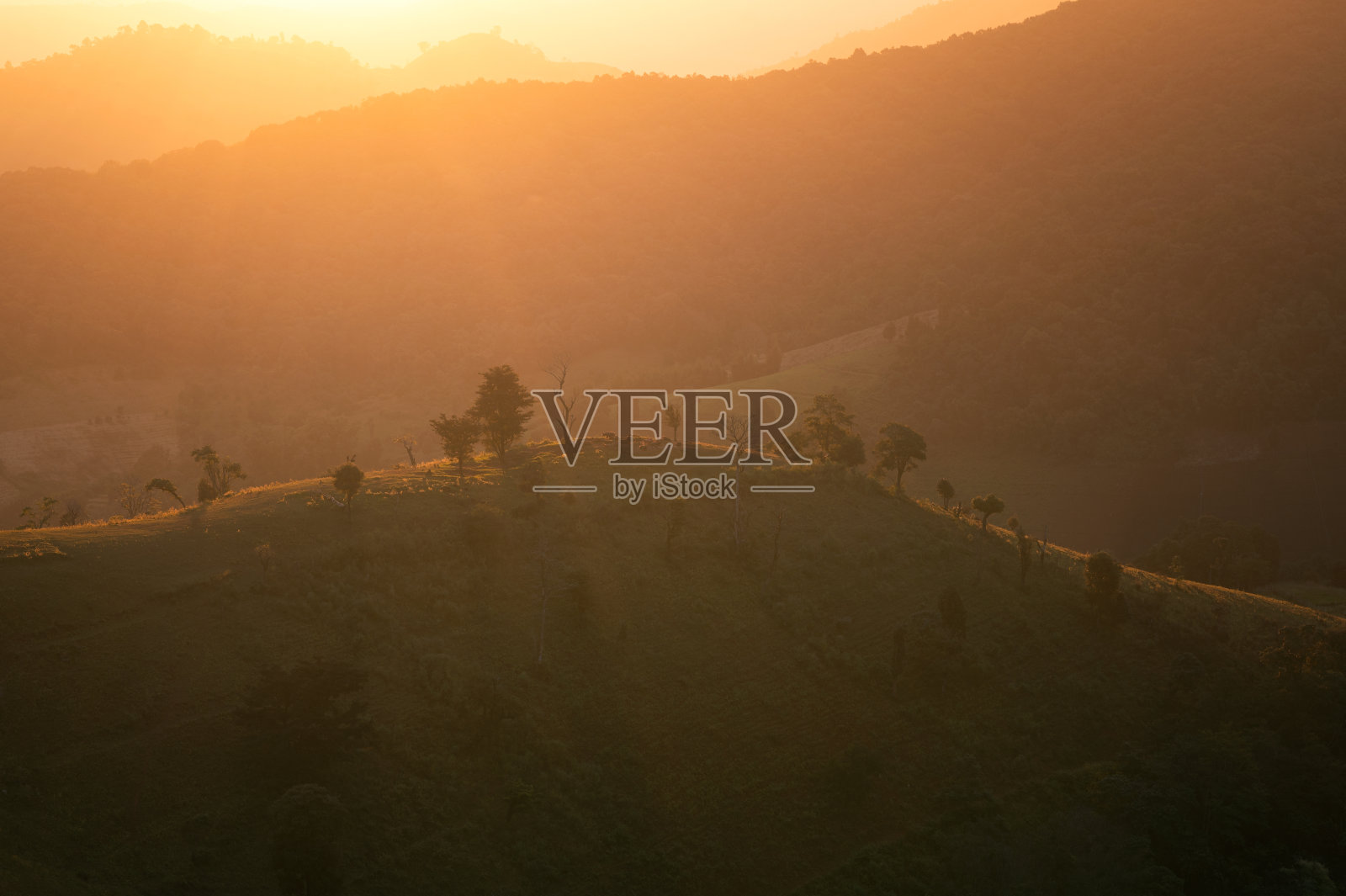 农村农业山上的日出照片摄影图片